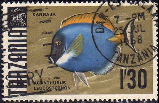 Tanzania 1967 Scott 29 Sello º Fauna Peces Kangaja Acanthurus Leucosternon Surgeonfish Timbre Tanzanie 